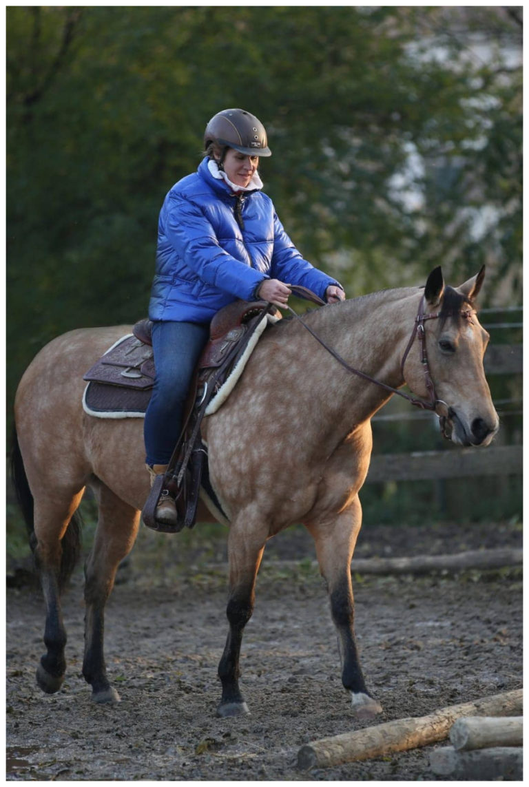 Training – Mooshof Strasser Quarter Horses