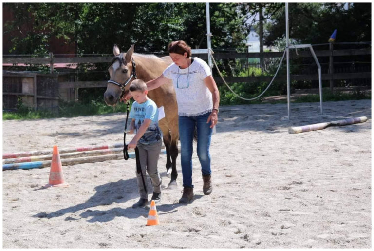Training – Mooshof Strasser Quarter Horses