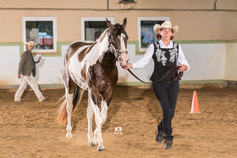 Turnier – Mooshof Strasser Quarter Horses