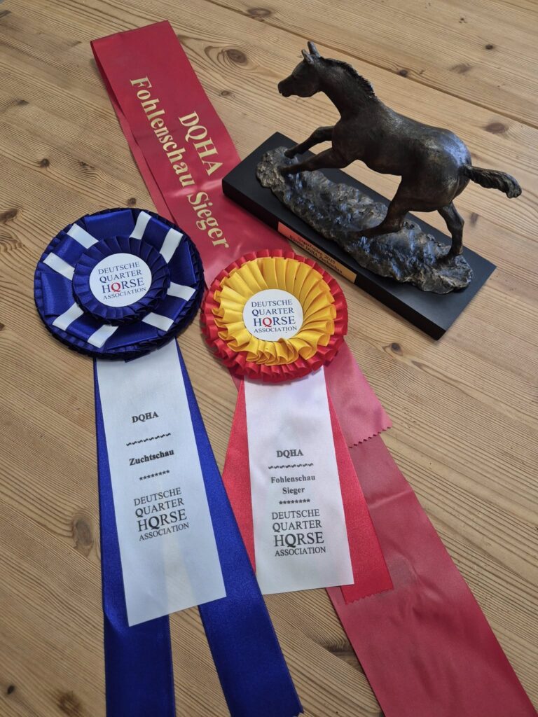 534854382_1341520207977999_1905792881237280441_n