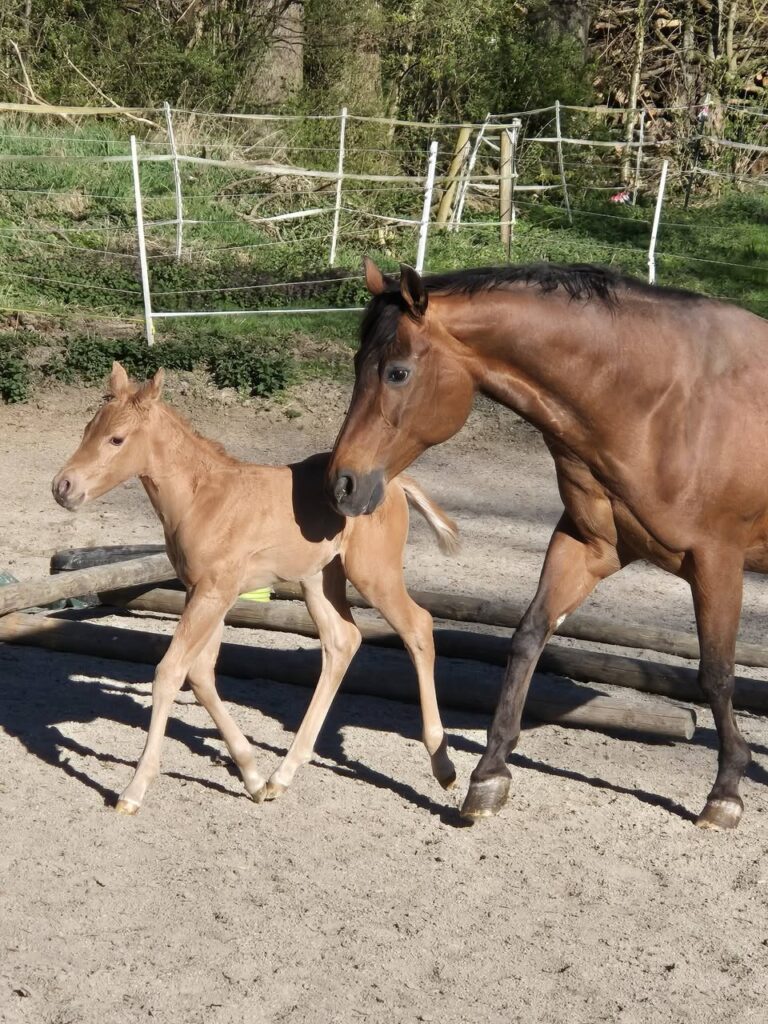 casper-unser-kleiner-casper-uebt-sich-2