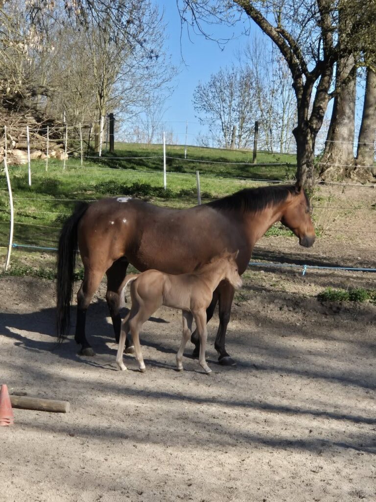 casper-unser-kleiner-casper-uebt-sich-3