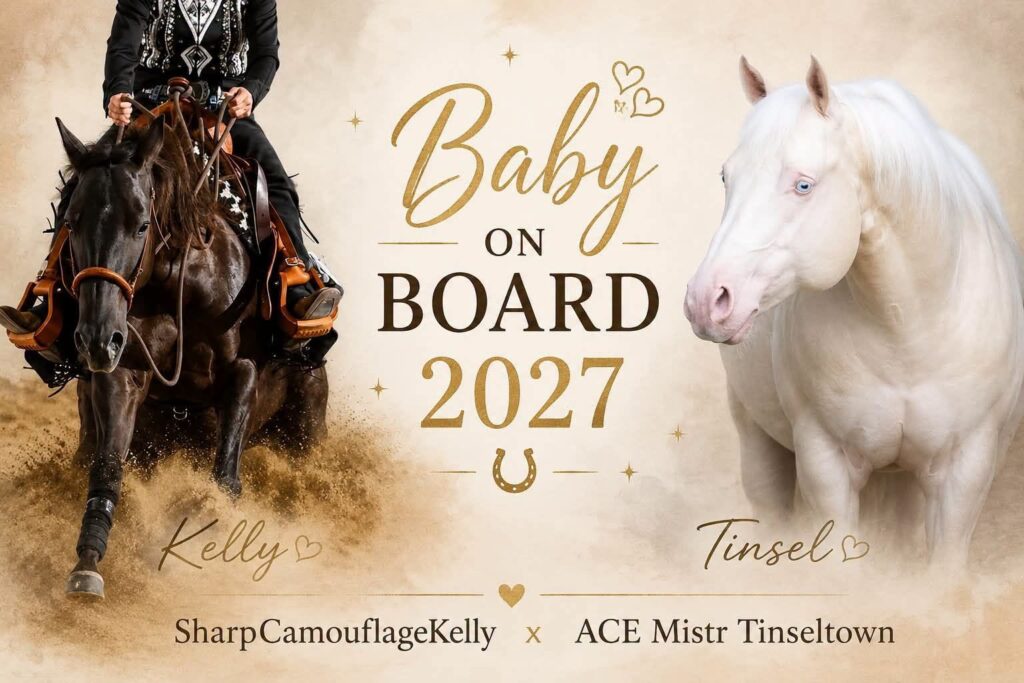 Kelly baby on board – Mooshof Strasser Quarter Horses