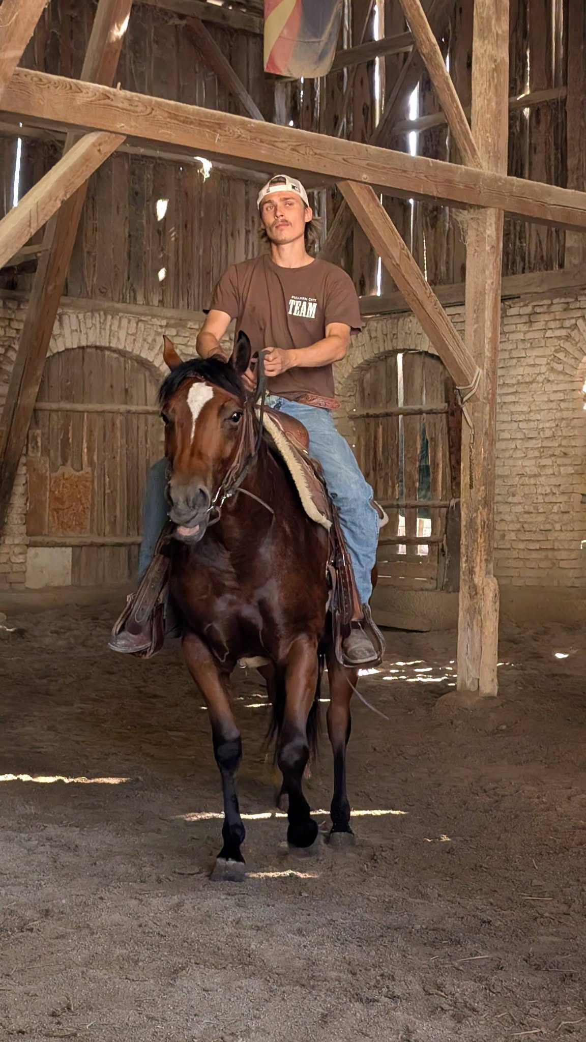 Lutz kurs – Mooshof Strasser Quarter Horses