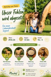 Workshop absetzen info – Mooshof Strasser Quarter Horses